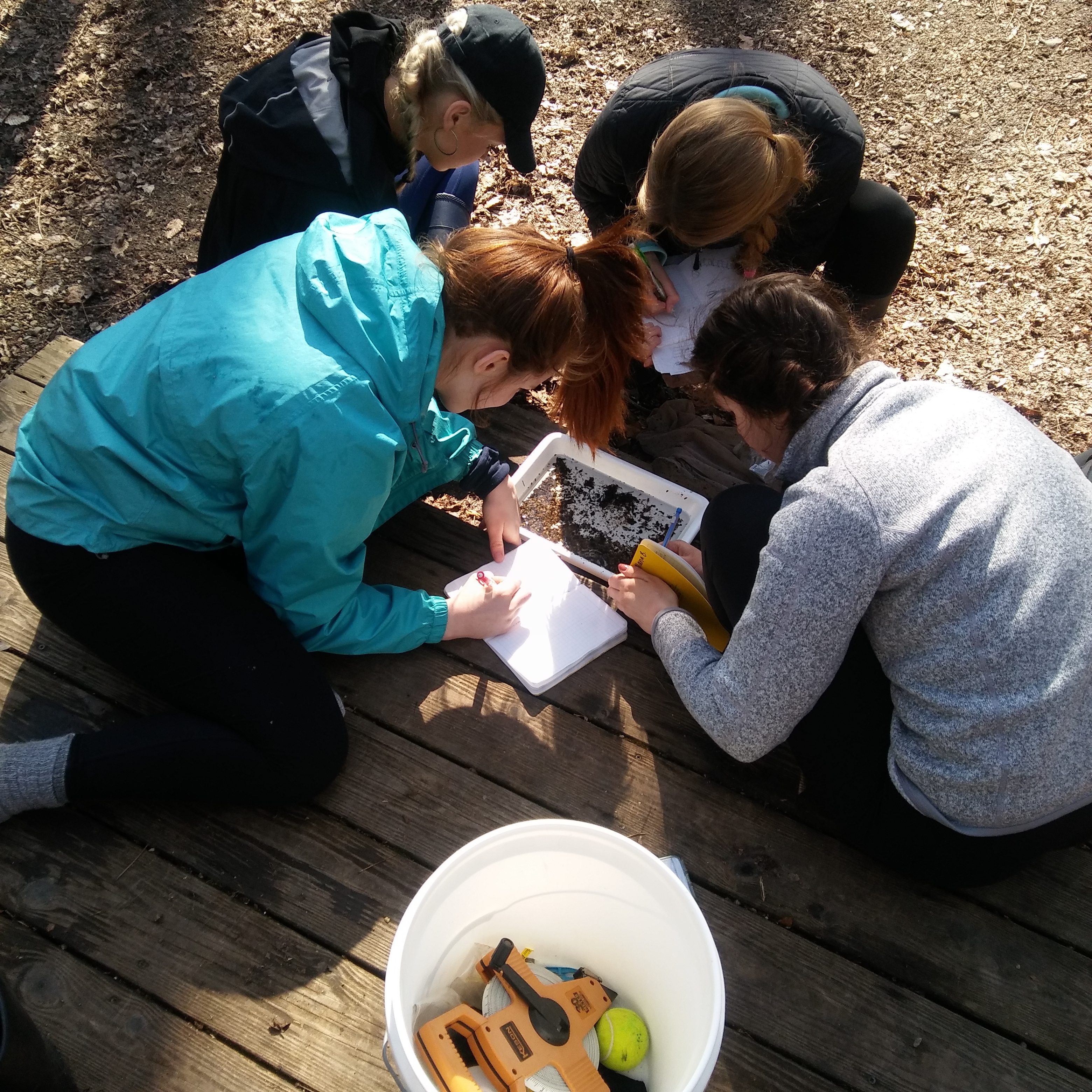 ENVS students making field observations